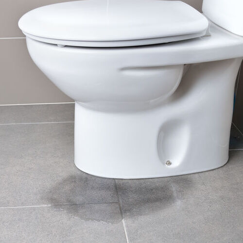 A Leaking Toilet