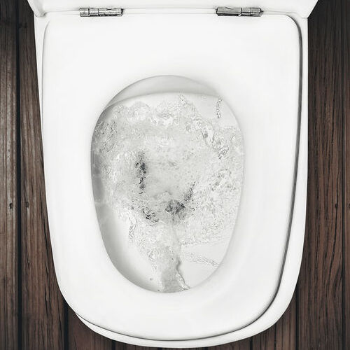A Flushed Toilet